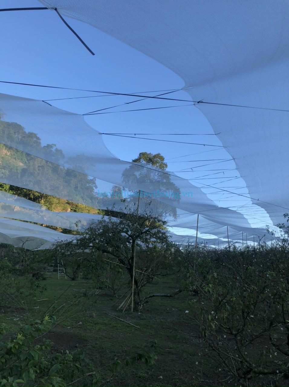 z2945129795565_f7be6cf3dbc83cc4bedc2c78cbc346f9