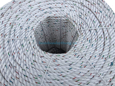 z2945628615017_d1e690dd73c37d90426a6c79cf4638be-scaled-removebg-preview